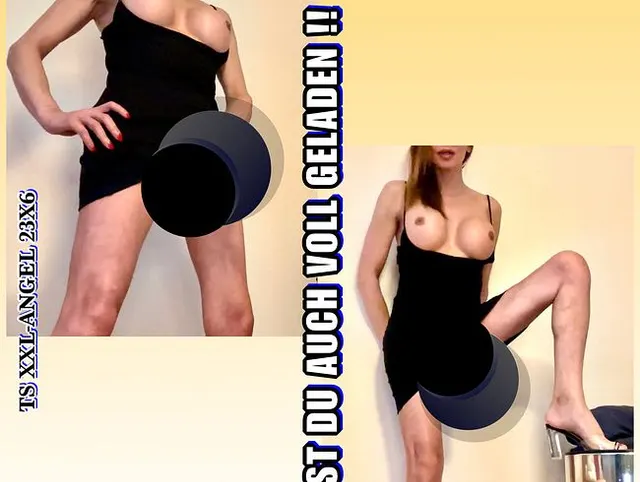 TSXXL-ANGEL23X6  BIST DU AUCH VOLL GELADEN !!