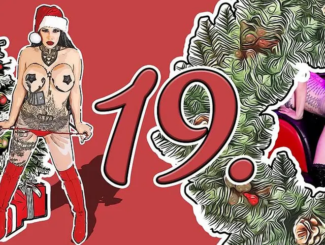 19. Adventskalender 2025 Doggy in Sexmöbel