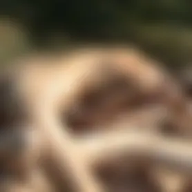 Stellung 69 Orgasmus Mega Nass