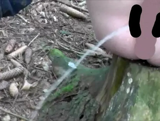 Da spritzt die Pisse