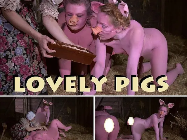 lovely pigs