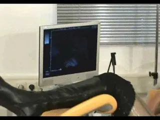 Ultraschallstab in der Fotze
