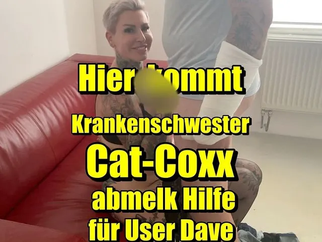 Hier kommt Krankenschwester Cat-Coxx abmelk Hilfe für User Dave
