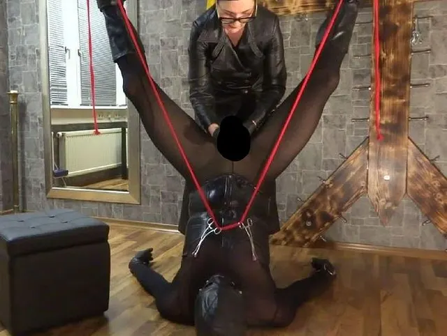 Das Dominaspiel
