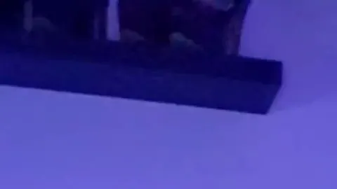 Anal mir dem Dildo