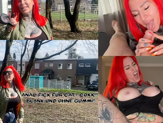 ANAL-Fick für Cat-Coxx!!! Blank und ohne Gummi!!!