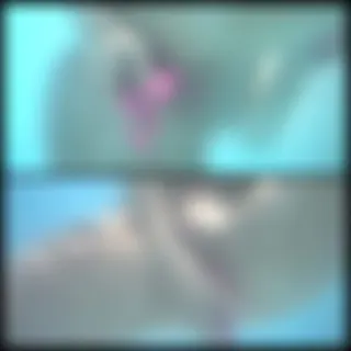 Unterwasser Dildospiele