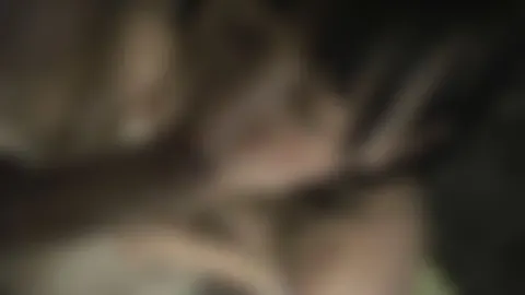 Camsex Orgie