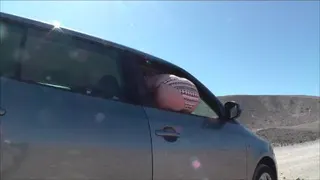 Pissen aus dem Autofenster