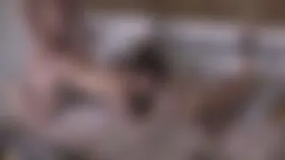 Völlig besoffene Gruppenorgie 3
