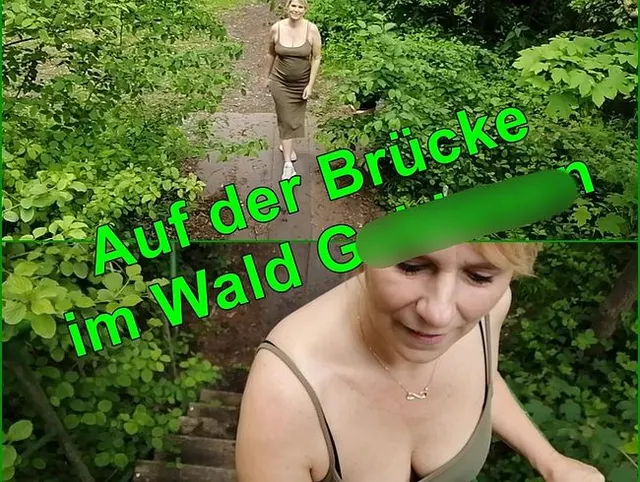 Auf der Brücke im Wald Geblasen