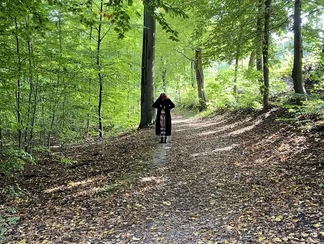 Kurz im Wald